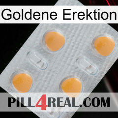 Golden Erection 24